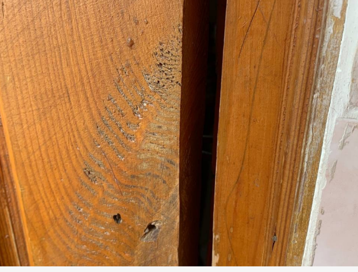 Гнилі овочі та цвіль на стінах. У центрі реабілітації на Хмельниччині порушують права дітей (фото)